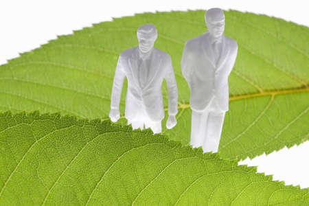 Leaves and dollsの写真素材