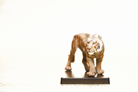 Zodiac Tiger illustrationsの写真素材