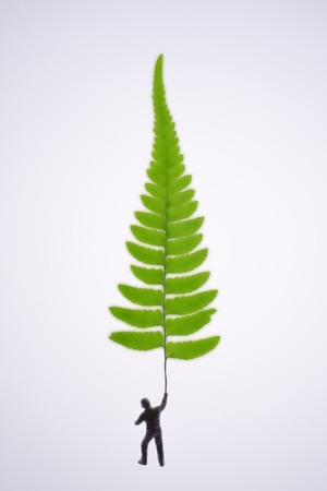 Doll and leavesの写真素材