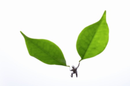 Doll and leavesの写真素材