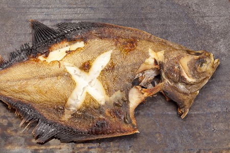 Flounder