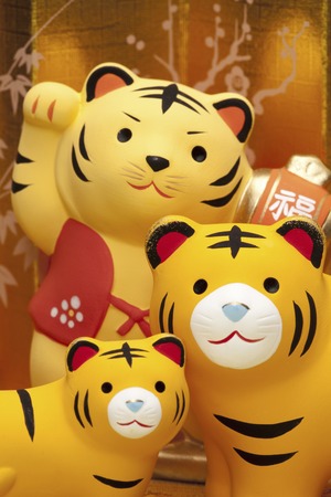 In the Chinese zodiac Tigerの写真素材