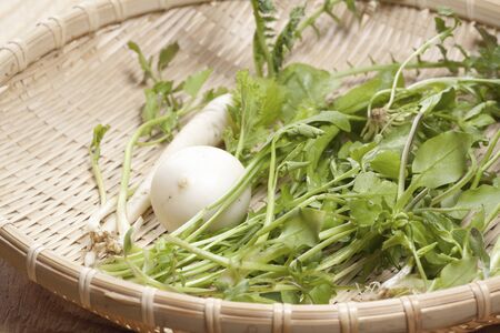 Of the springの写真素材