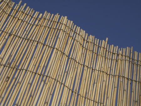 and leaning against the reed screenの写真素材