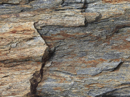 The surface of the rock