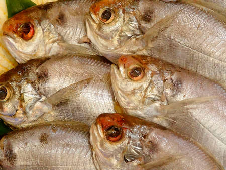 Live fish