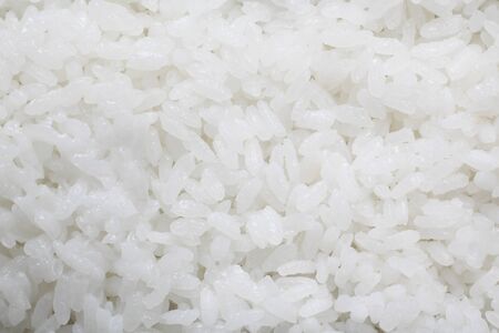 White riceの写真素材