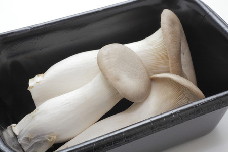 Alinghiの写真素材