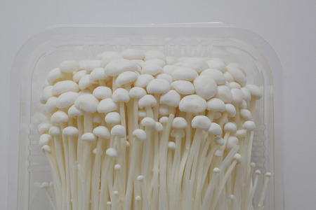 Enoki mushroomの写真素材