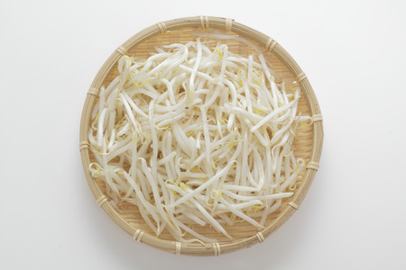 Bean sproutsの写真素材