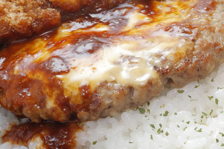 Hamburger lunchの写真素材