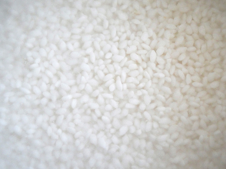 Wash riceの写真素材