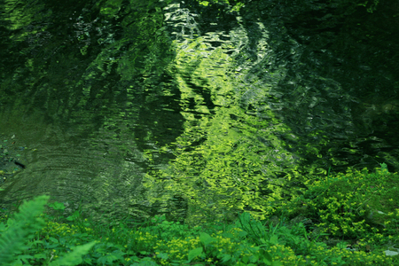 Surface of the water
