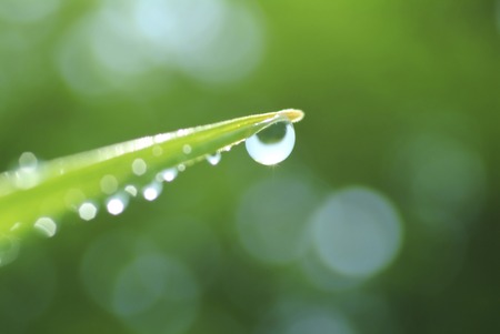 Water droplets