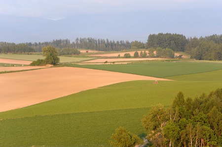Biei Hill
