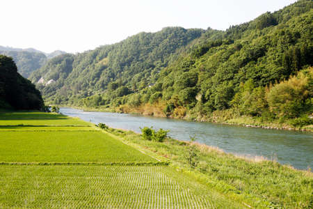 Rice paddies and the Sai Riverの写真素材