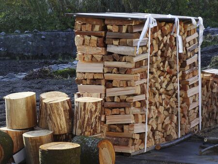 Stacks of firewood