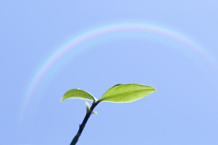 Futabaの写真素材