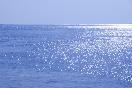 Sparkling seaの写真素材