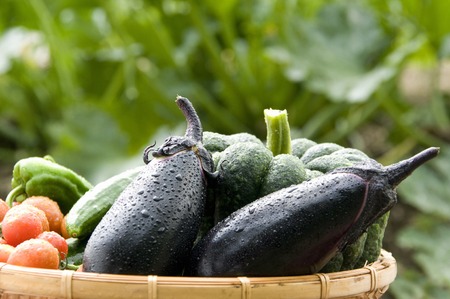 Natsuno vegetablesの写真素材