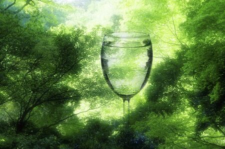 Glass in the fresh greenの写真素材