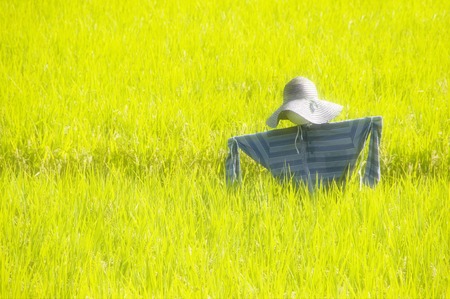 Scarecrowの写真素材