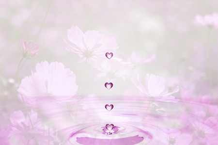 Heart dropsの写真素材