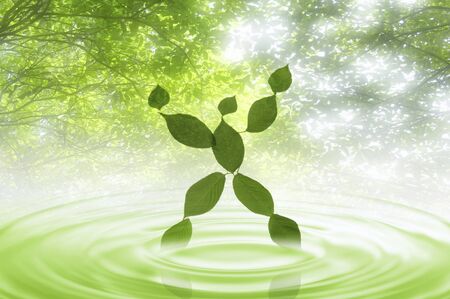 Fresh green dollの写真素材