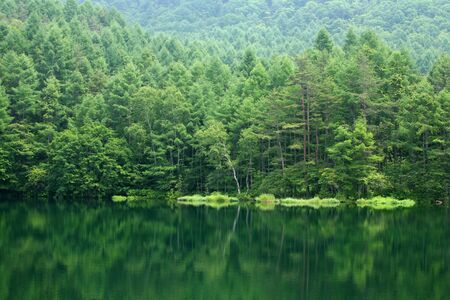 Forest and Lakeの写真素材