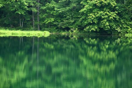 Forest and Lakeの写真素材