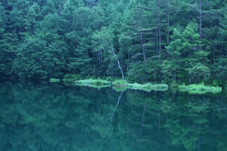 Forest and Lakeの写真素材