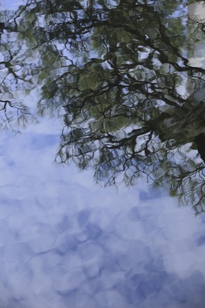 Pond of the Japanese gardenの写真素材