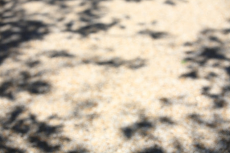 The shade of a tree silhouetteの写真素材