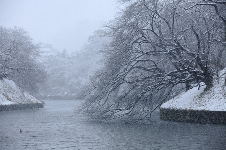 Tokyo heart snowの写真素材