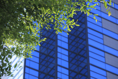 Building with treesの写真素材