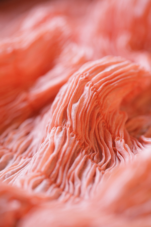 Dyeing scarvesの写真素材