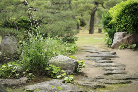 Japanese-style garden stepping stoneの写真素材