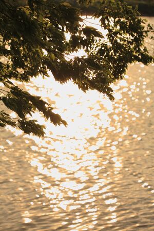 The reflection of the setting sun of the TAMA river waterの写真素材