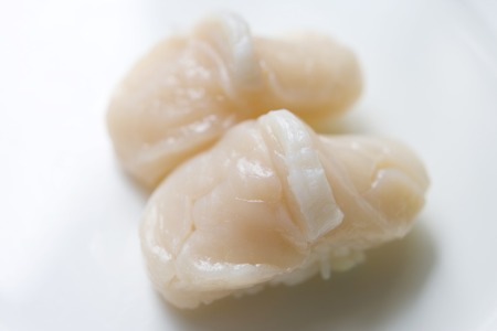 Scallop gripの写真素材