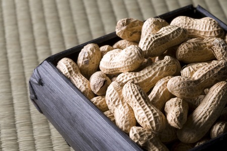 Peanutの写真素材