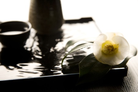 Japanese-style imageの写真素材