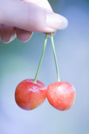 Cherriesの写真素材