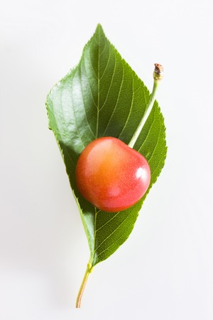 Cherriesの写真素材
