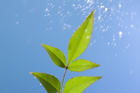 Splashing waterの写真素材