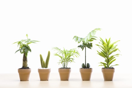 Eco imageの写真素材