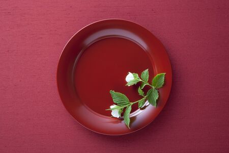 Japanese platesの写真素材