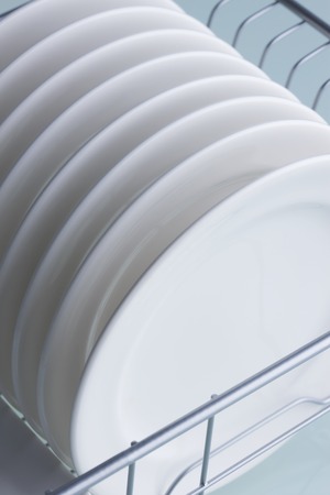 Dish
