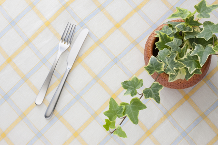 Fork and knifeの写真素材