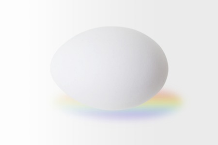 Eggの写真素材