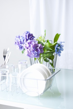 Hydrangeaの写真素材